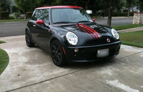 mini graphics in the USA - lines viper